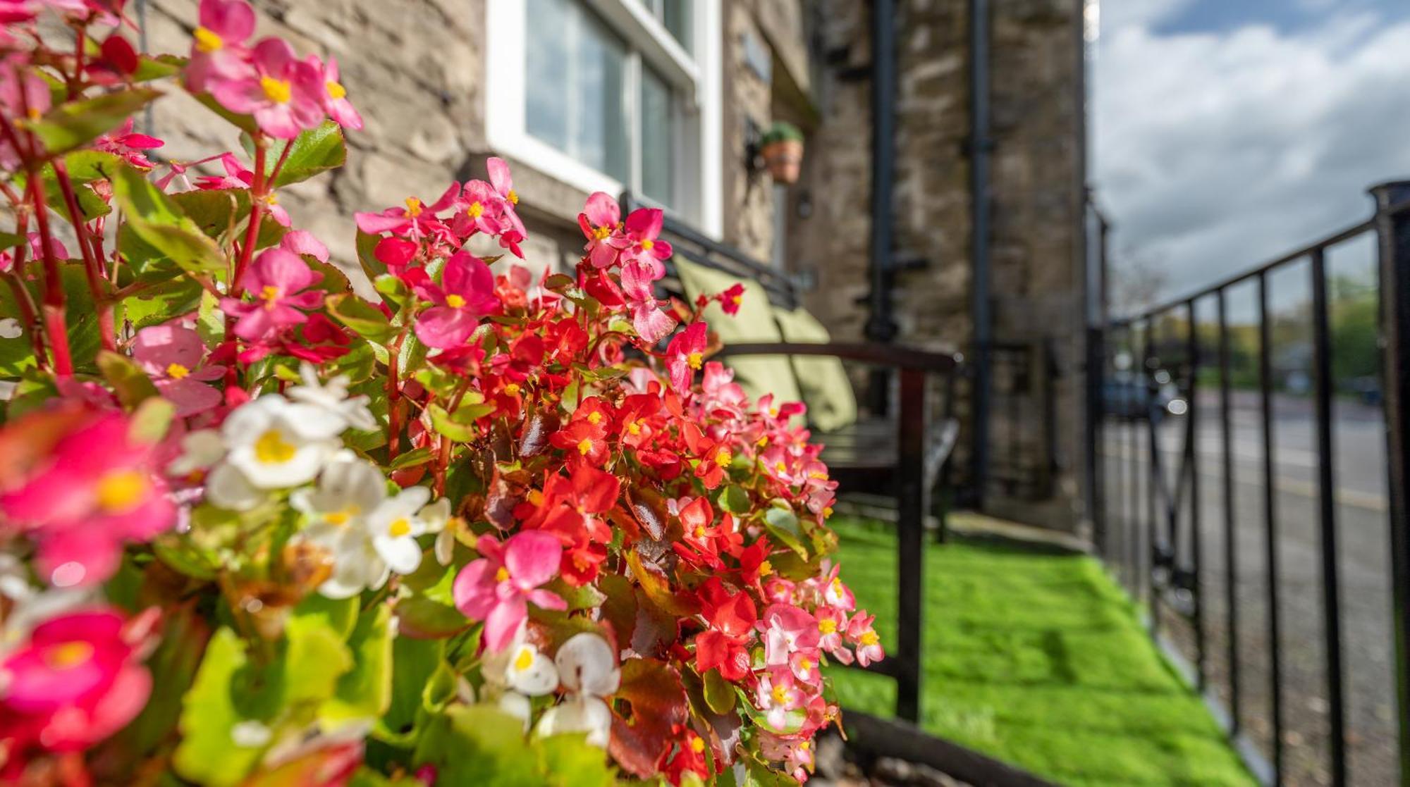 Wee Toad Hole Heart Of Kendal - Cottage Sleeps 4-6 - Dogs Welcome Buitenkant foto